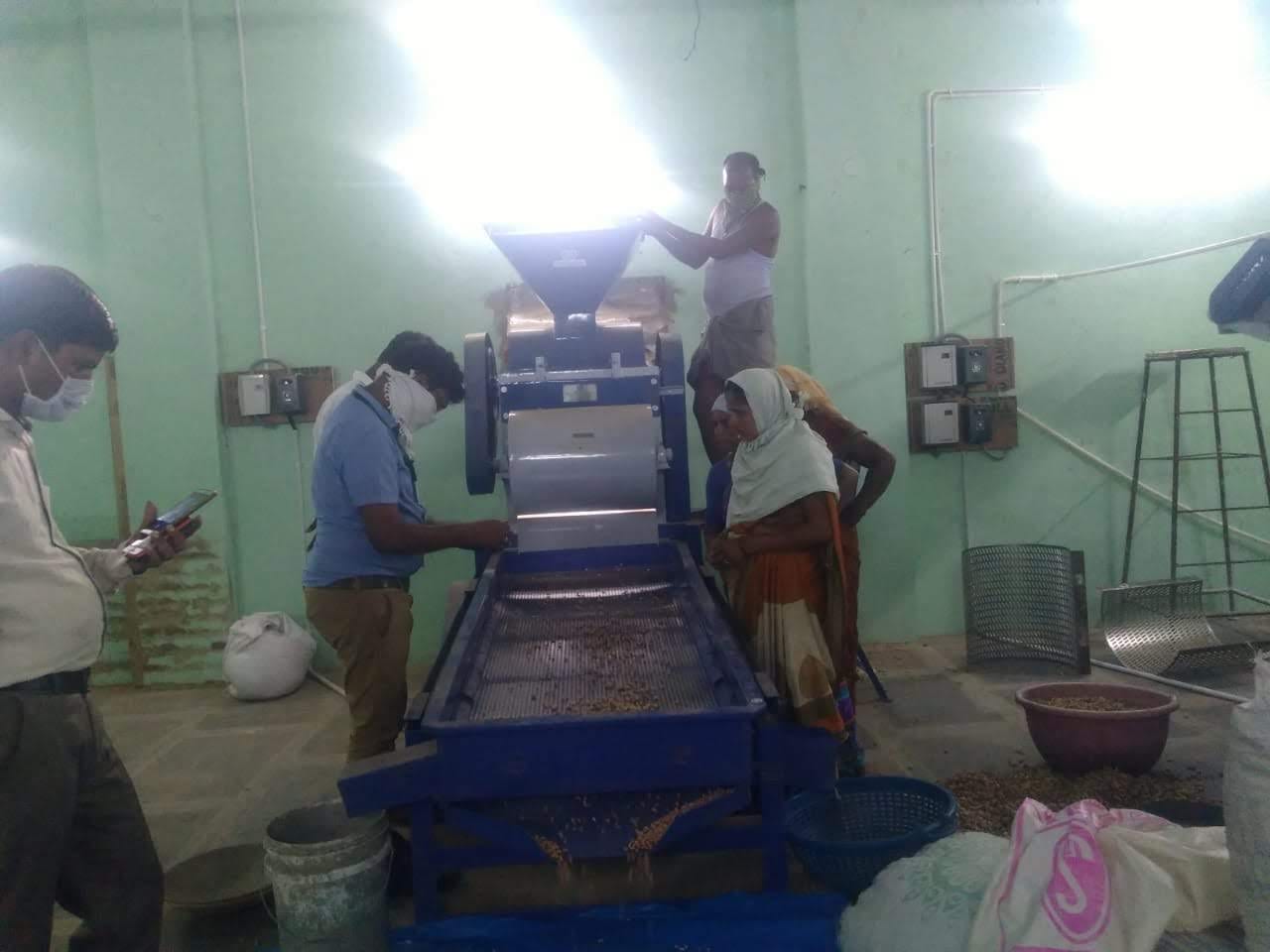 Workers running the grading and cleaning line at the primary processing centre, with graded produce collecting below the conveyor