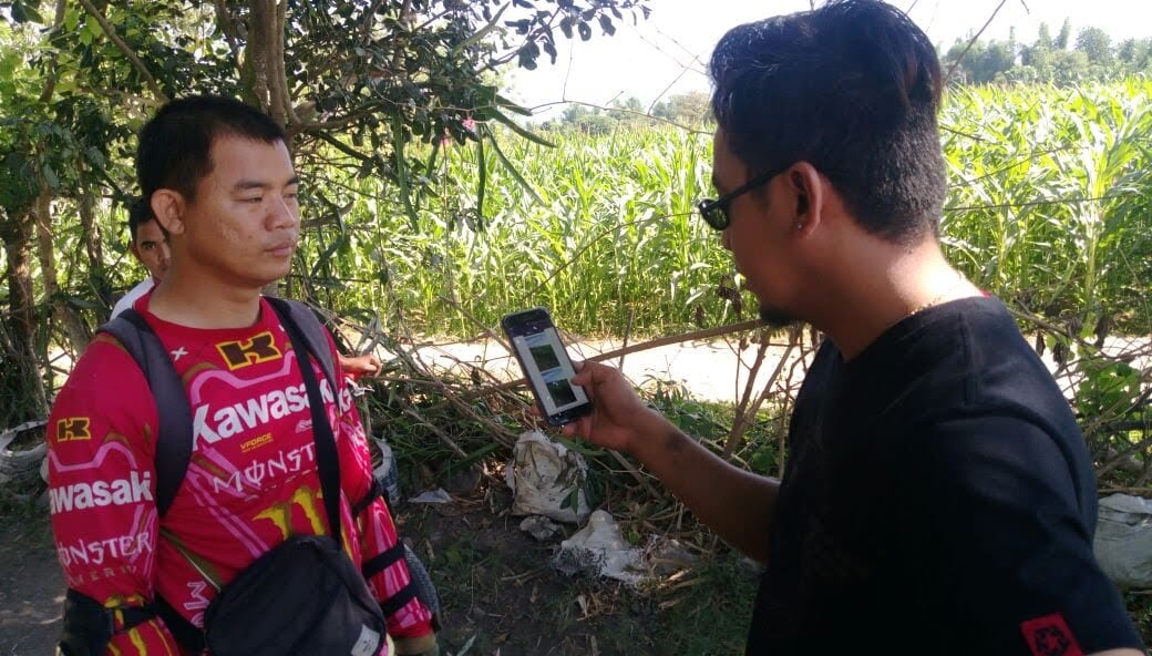 Two field staff checking the corn seed production management app on a phone beside a standing corn crop in the Philippines